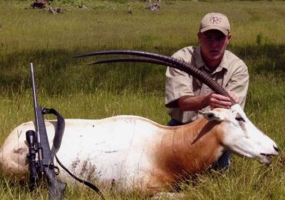 Scimitar Horned Oryx